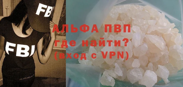 сатива Корсаков