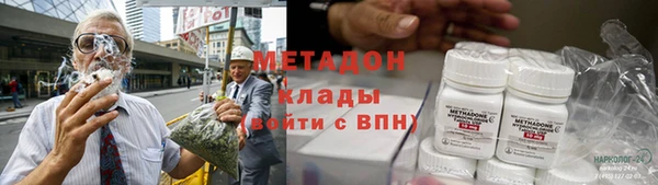 сатива Корсаков