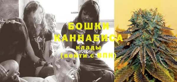 сатива Корсаков