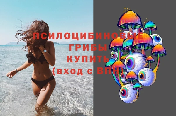 бошки Костерёво