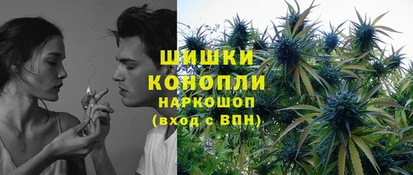 сатива Корсаков