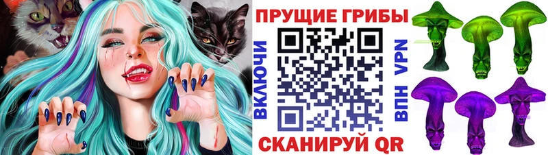 Псилоцибиновые грибы прущие грибы  Купить закладки  Аша 
